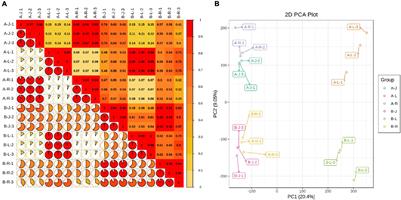Transcriptomics and Metabolomics Changes Triggered by Inflorescence Removal in Panax notoginseng (Burk.)